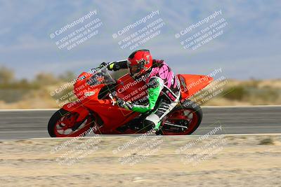 media/Jan-19-2024-Apex Assassins-CVMA Friday (Fri) [[74e94f2102]]/Trackday 1/Session 3 Turn 3 Inside Speed/